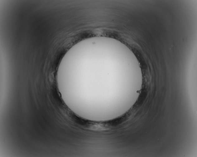 X0000086240611200704261917