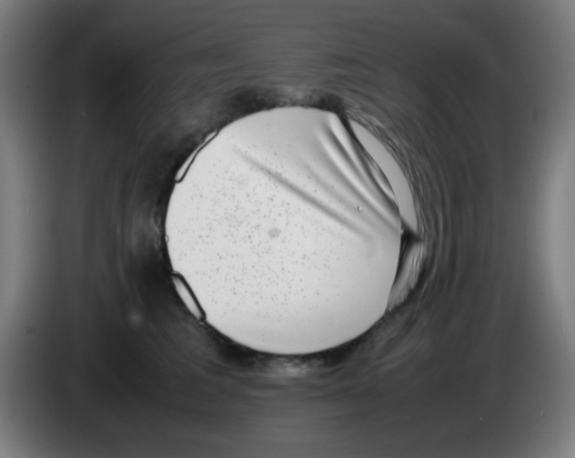 X0000086240613200704261917