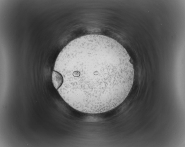 X0000086240614200704261917
