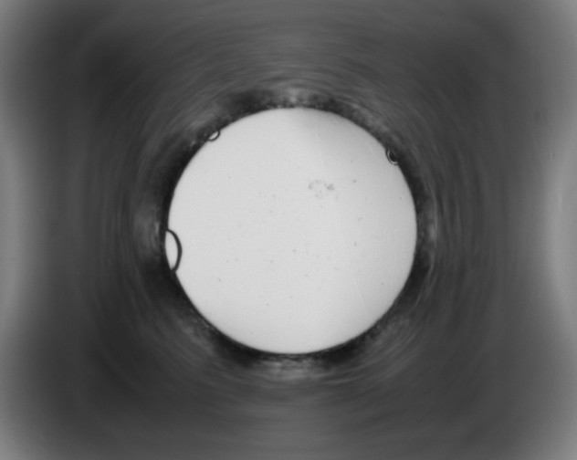 X0000086240615200704261917