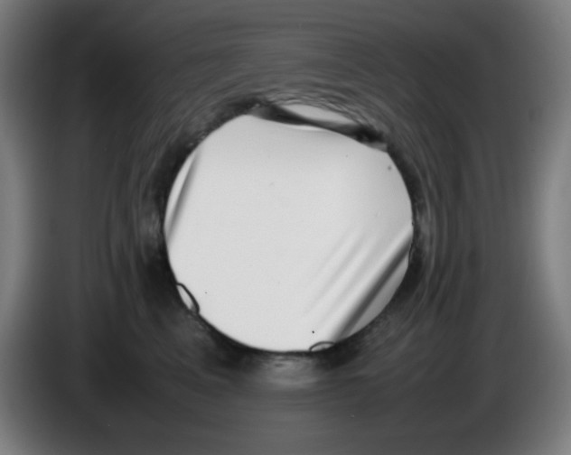 X0000086240617200704261917