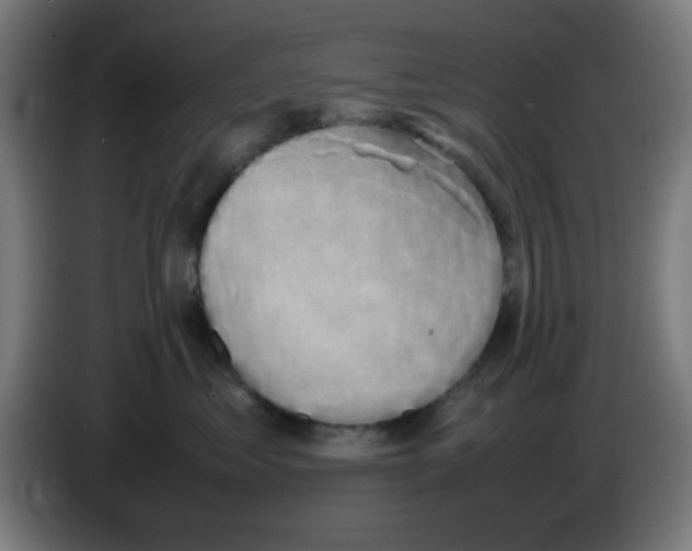 X0000086240621200704261917