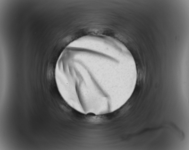 X0000086240623200704261917