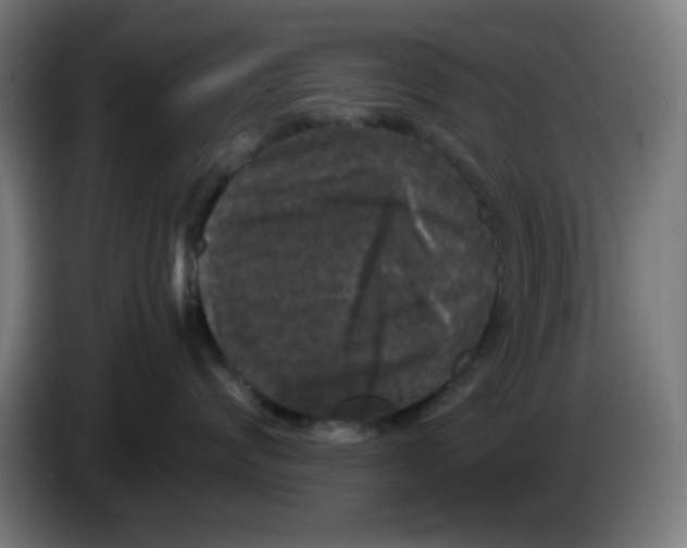 X0000086240624200704261917