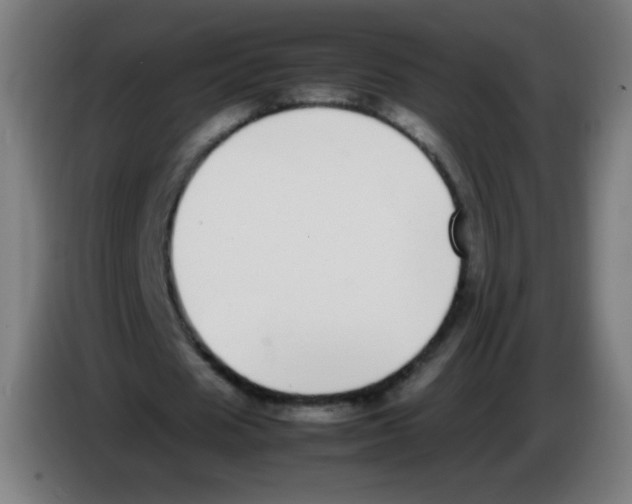 X0000086240625200704261916
