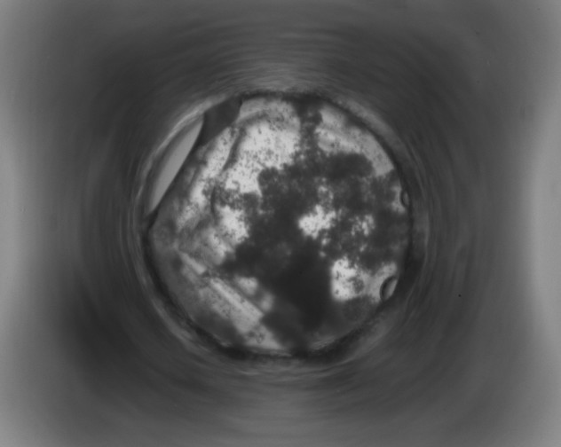 X0000086240626200704261916