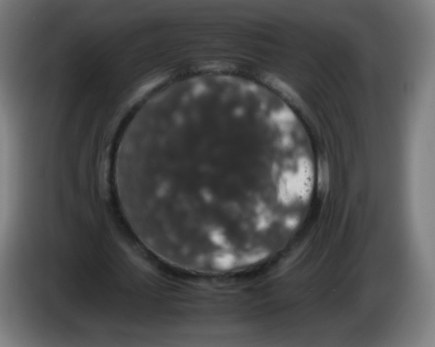 X0000086240627200704261916