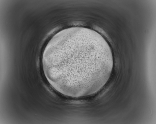 X0000086240629200704261917