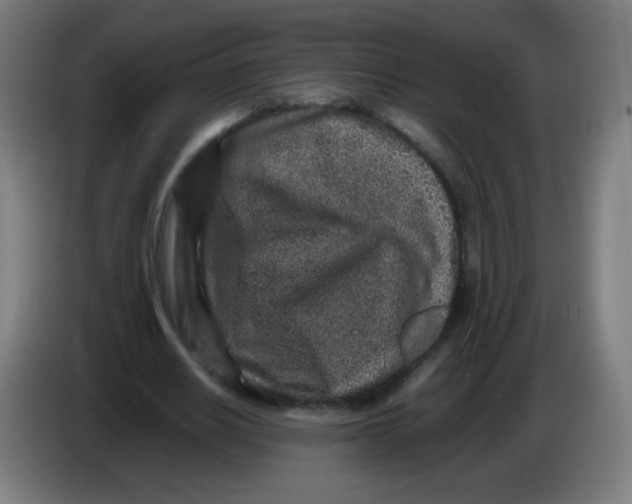 X0000086240630200704261917