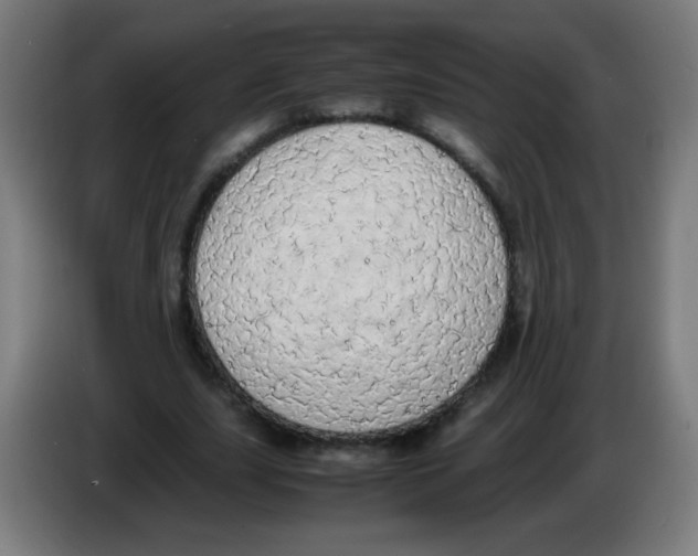 X0000086240631200704261917