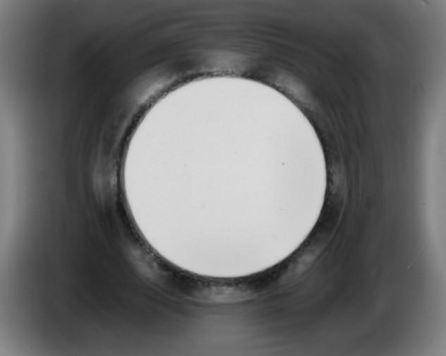 X0000086240632200704261917