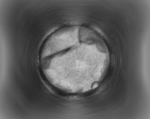 X0000086240634200704261917