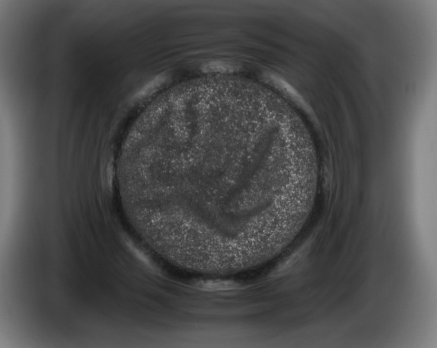 X0000086240637200704261917