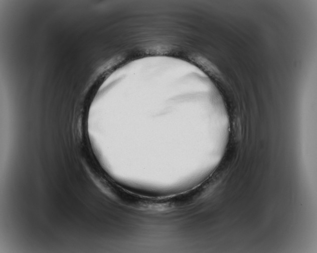 X0000086240638200704261917