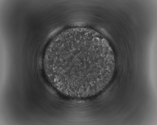 X0000086240640200704261917