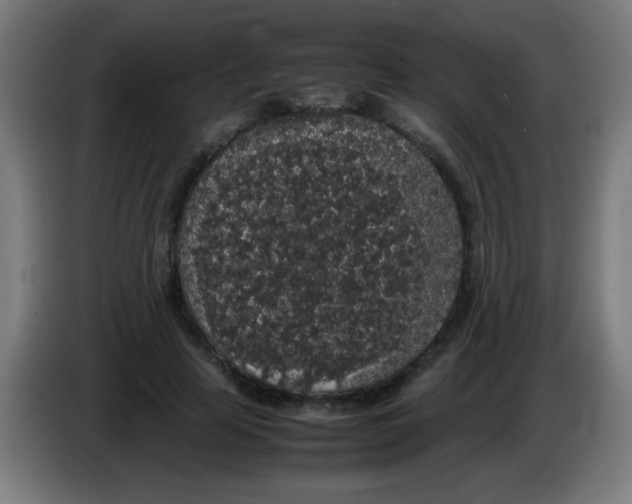 X0000086240641200704261917