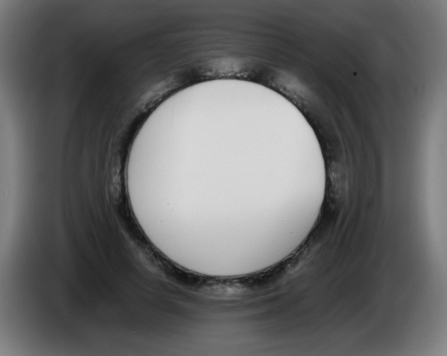 X0000086240642200704261917