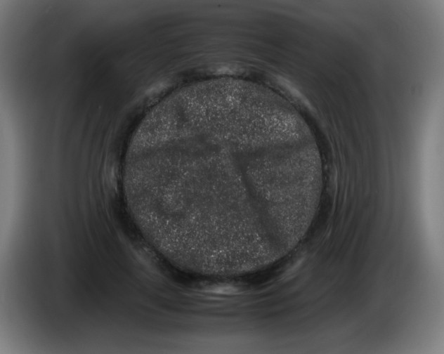 X0000086240643200704261917