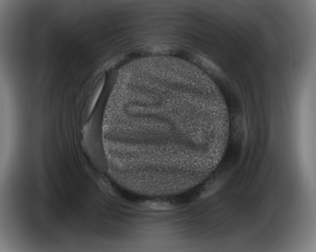 X0000086240644200704261917