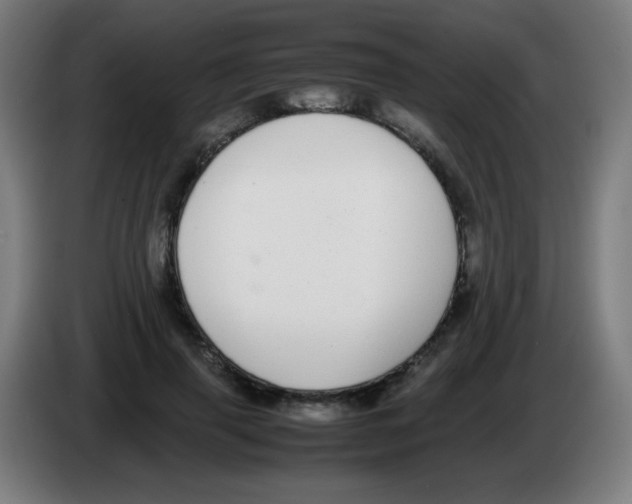 X0000086240645200704261917