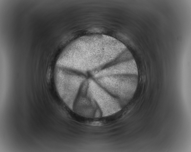 X0000086240647200704261917
