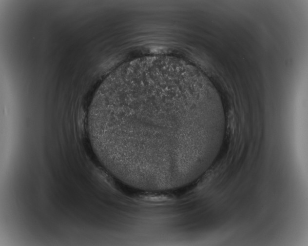 X0000086240650200704261917