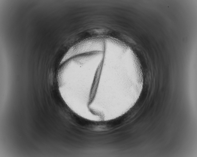 X0000086240651200704261917