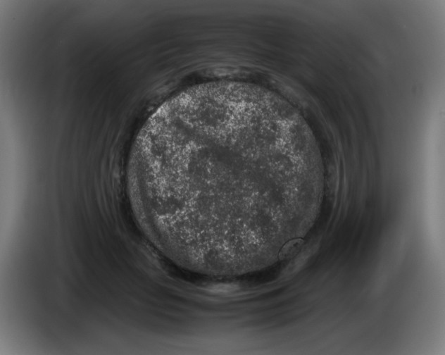 X0000086240653200704261917
