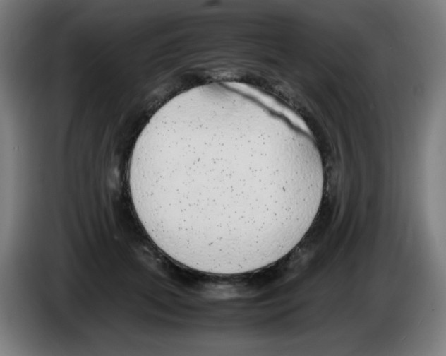 X0000086240655200704261917
