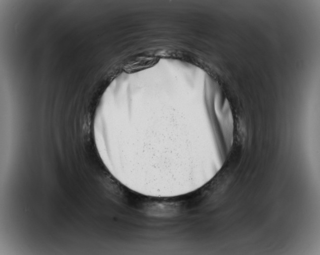 X0000086240657200704261917