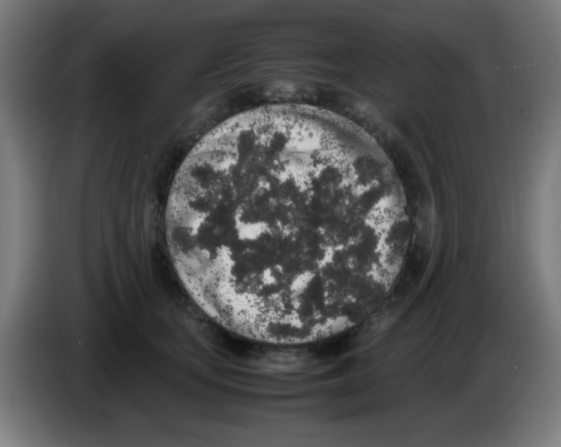 X0000086240659200704261917