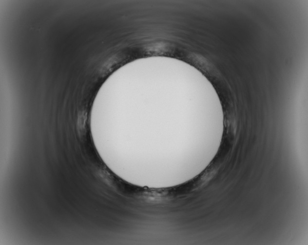 X0000086240660200704261917
