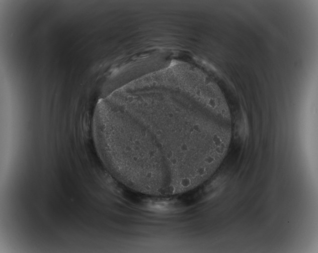 X0000086240661200704261917