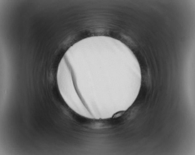 X0000086240662200704261917