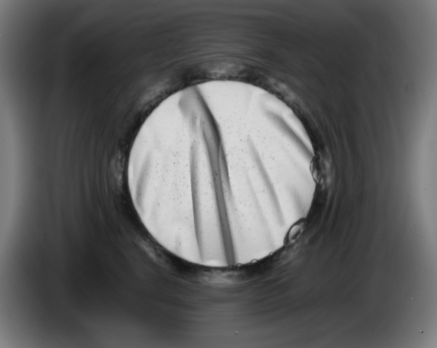 X0000086240664200704261917