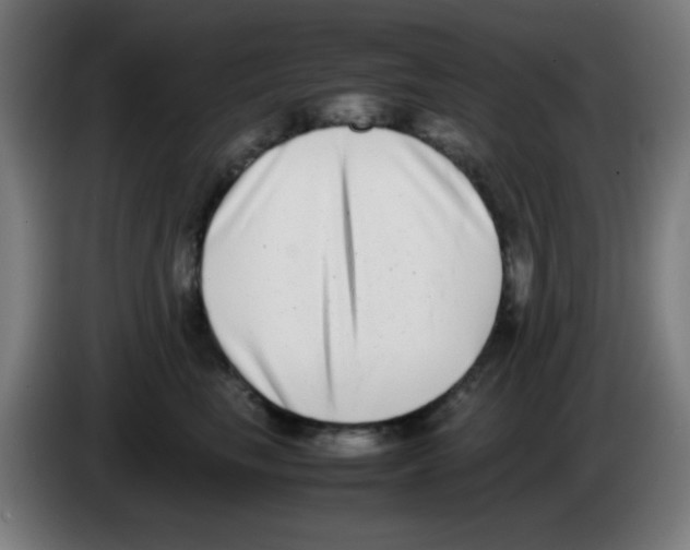 X0000086240665200704261917