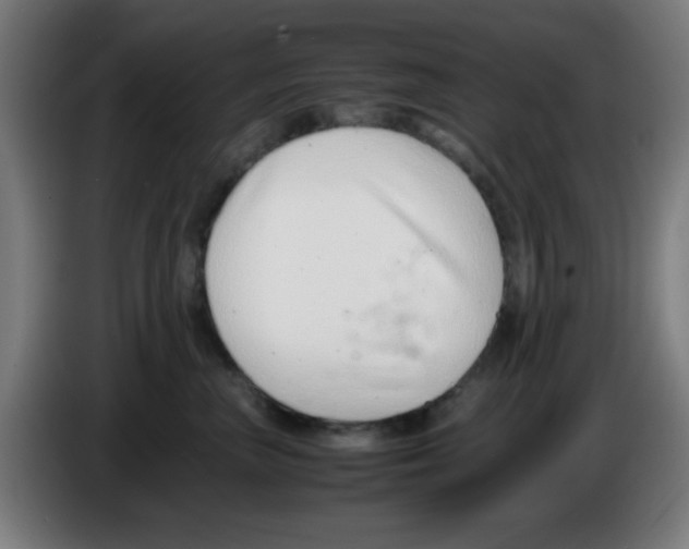 X0000086240667200704261917