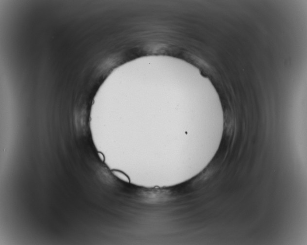 X0000086240670200704261917