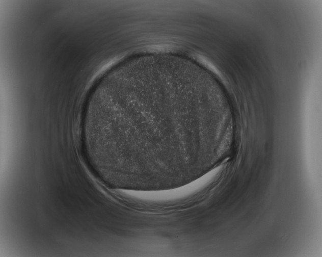 X0000086240677200704261916