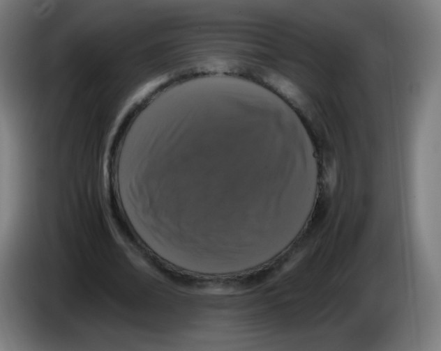 X0000086240678200704261916