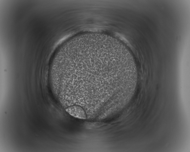 X0000086240679200704261916