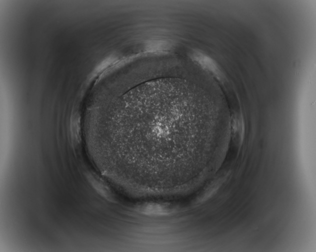 X0000086240684200704261916