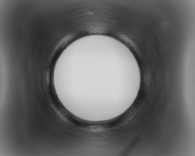 X0000086240686200704261916
