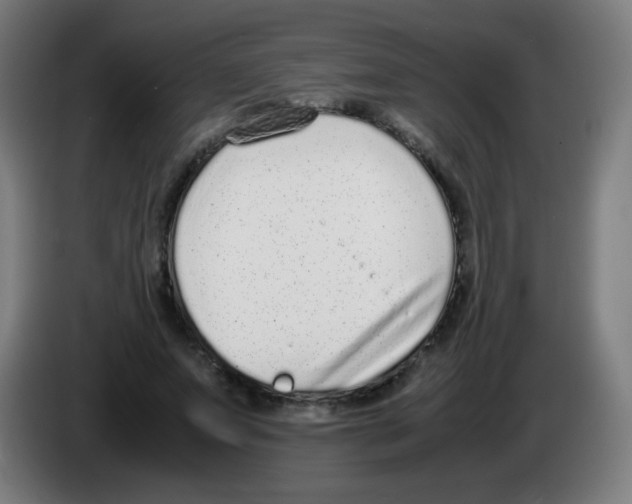 X0000086240687200704261916