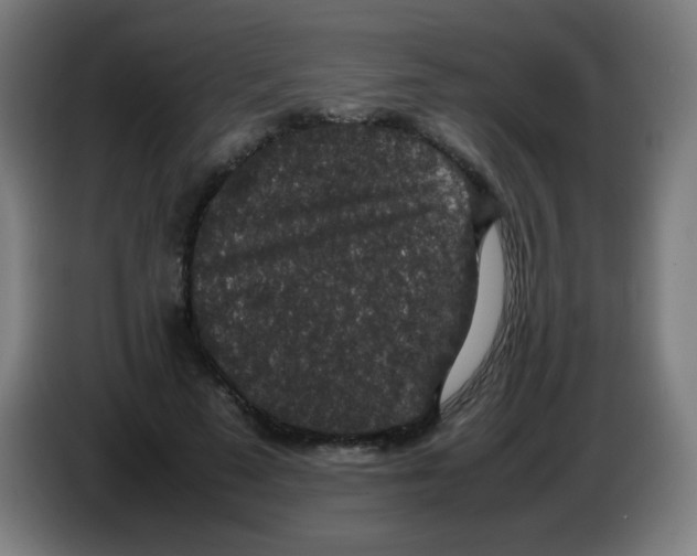 X0000086240689200704261916