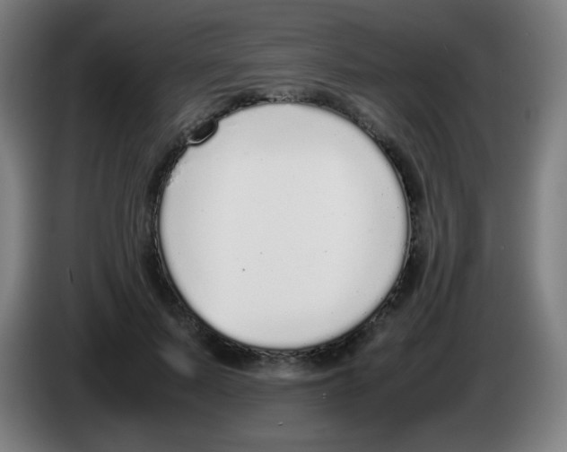 X0000086240695200704261916