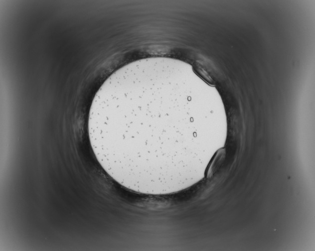 X0000086240697200704261916