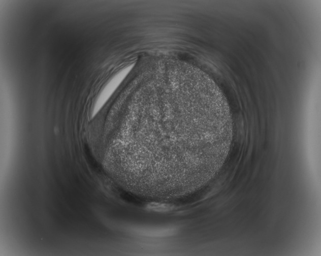 X0000086240699200704261916