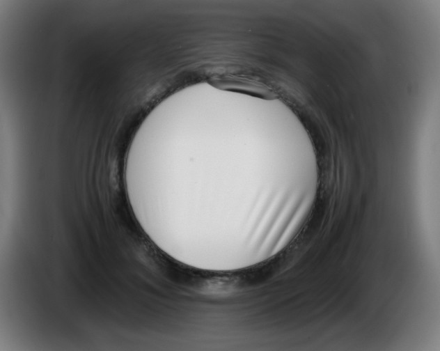 X0000086240700200704261916