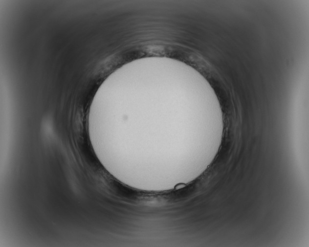 X0000086240702200704261916